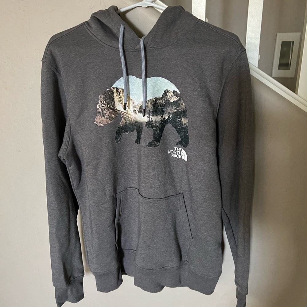 Brand new mens medium Gray North face hoodie.
